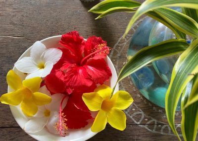 Retraite Éclosion de printemps | 4-6 avril 2025